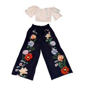 Anthropologie wide leg size small pants & Olivacious Size Med crop top bundle